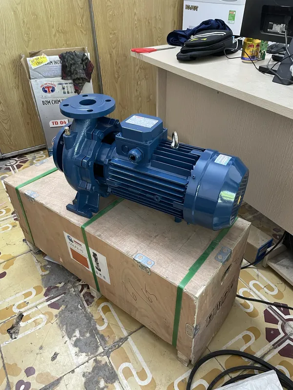 bơm trục ngang cho hệ lạnh chiller