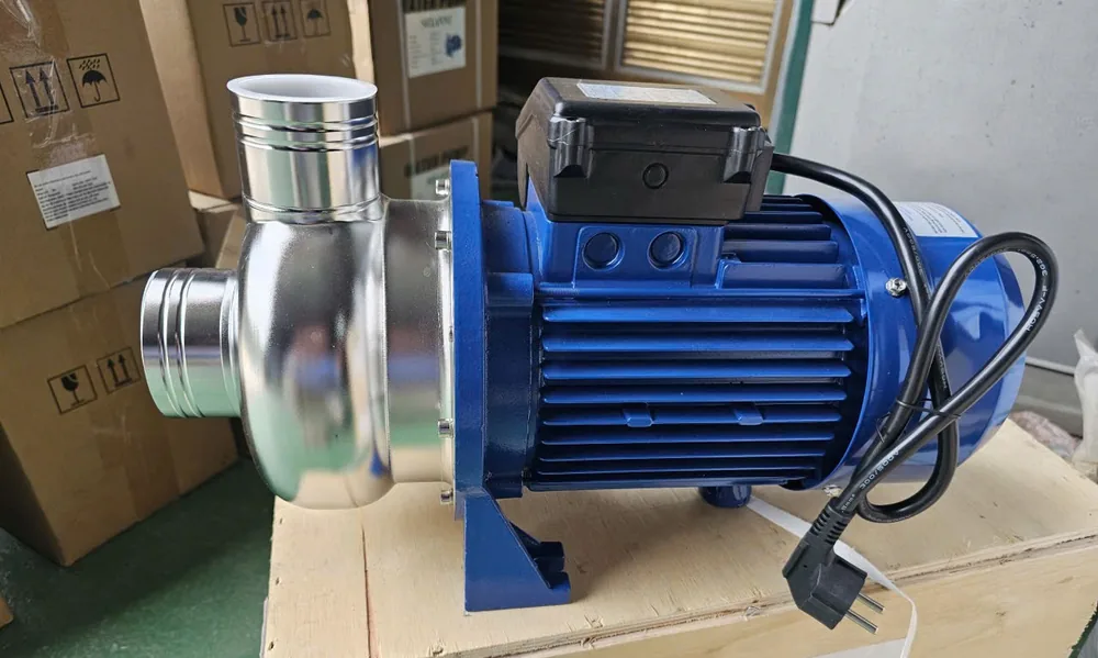 Cụm bơm trục ngang và động cơ trên tấm đế